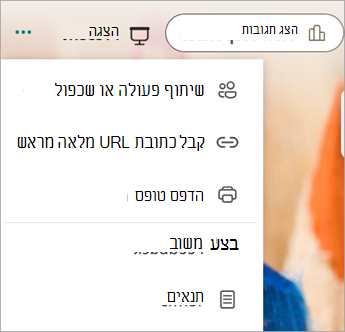 בחר הגדרות טופס נוספות כדי לחשוף שיתוף פעולה או שכפול