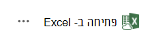 פתח ב- Excel נקודת כניסה עבור פתרון סינכרון נתונים ישן