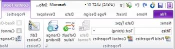 הפקודה 'מאפייני פקד' ברצועת הכלים של InfoPath