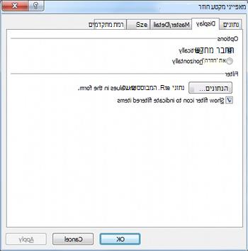 תיבת הדו-שיח 'מאפייני מקטע חוזר' עם 'סינון נתונים' בכרטיסיה 'תצוגה'