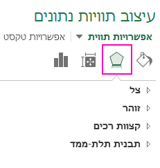הכרטיסיה 'אפקטים' בחלונית 'עיצוב תוויות נתונים'