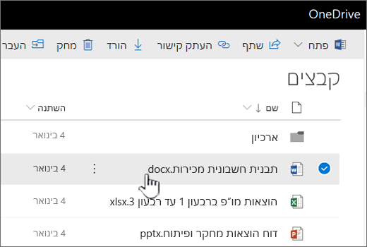 OneDrive עם קובץ שנבחר