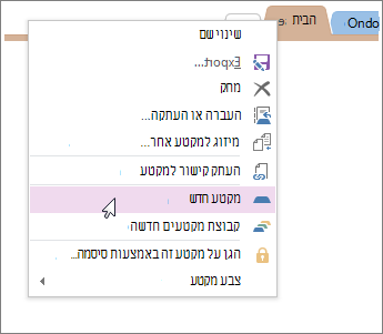 הוסף מקטע חדש ב- OneNote.