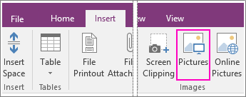צילום מסך של לחצן 'הוסף תמונות' ב- OneNote 2016.