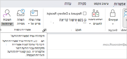 מתוך הודעת דואר אלקטרוני חדשה, בחר אפשרויות > הודעה
