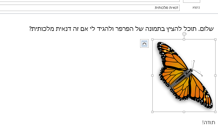 התמונה נמצאת כעת בהודעה שלך.
