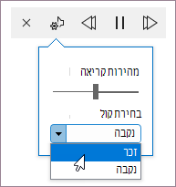 הפקדים 'קרא בקול רם' באמצעות מחוון מהירות הקריאה ותפריט בחירת הקול.