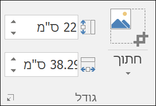 צילום מסך המציג הגדרות גובה ורוחב