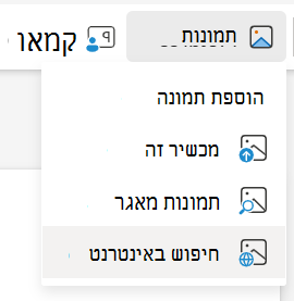 הוספת תמונות מהחיפוש באינטרנט ב- PowerPoint באינטרנט