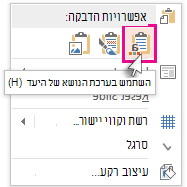 אפשרויות הדבקה: השתמש בערכת נושא היעד