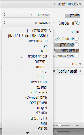 צילום מסך המציג את המקטע 'אפשרויות אפקט' בחלונית 'הנפשות' כאשר תפריט הצליל מורחב.