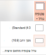 לחצן 'גודל שקופית' בקבוצה 'התאמה אישית'