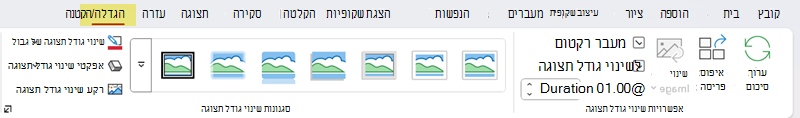 הכרטיסיה 'תצוגה' עם הקבוצות 'אפשרויות תצוגה' ו'סגנונות תצוגה'