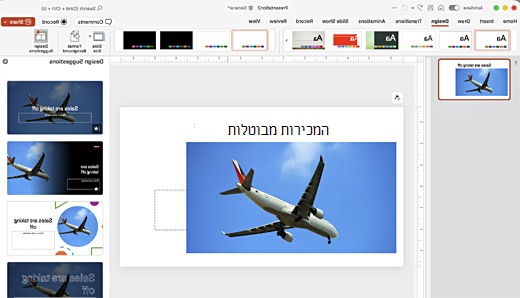 Designer המסך.