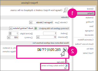 אפשרויות Project, הכרטיסיה 'הצגה'