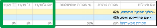 הזנת שעות בתצוגה 'פעילויות'