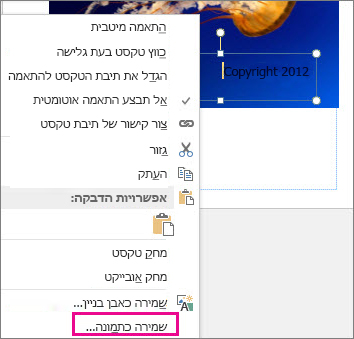 שמור כתמונה