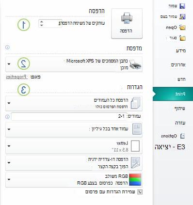 הגדרות הדפסה ב- Publisher 2010