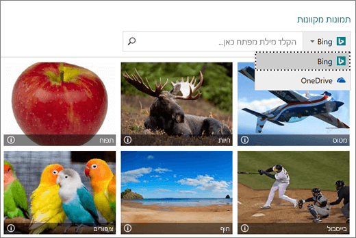 צילום מסך של חלון 'הוספת תמונות' עבור תמונות מקוונות.