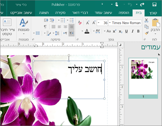 צילום מסך של תיבת טקסט בדף של קובץ Publisher.