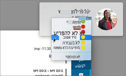 צילום מסך של חלון סקייפ לאורך, שבו נבחרה תיבת דו-שיח של מצב נוכחות.