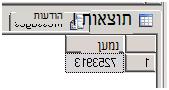תוצאות שאילתה