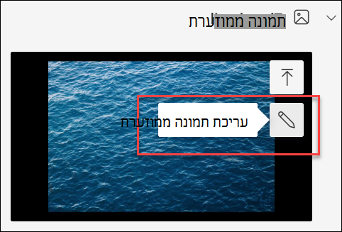 צילום מסך של האפשרות 'ערוך תמונה ממוזערת'