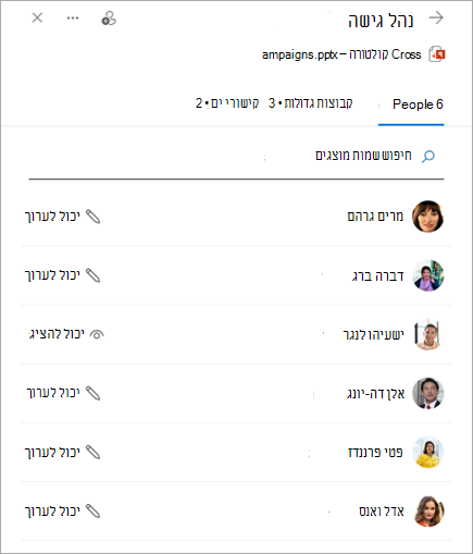 החלונית 'ניהול גישה' מציגה הרשאות עבור קובץ משותף.