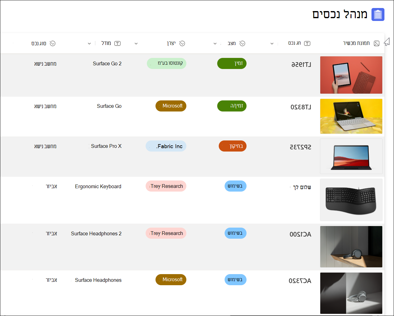 צילום מסך של דוגמה למנהל נכסים של תבנית רשימה