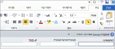 לוח פרטי המסמך מציג תיבות טקסט בטופס כדי לאסוף מטה-נתונים מהמשתמשים.