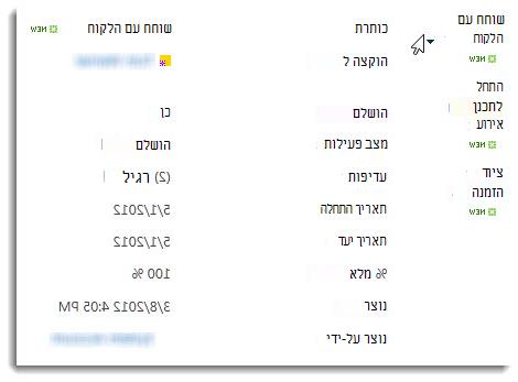 סגנון התצוגה 'חלונית תצוגה מקדימה'