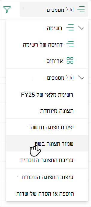 צילום מסך המציג את הפקודה 'שמור תצוגה בשם' שניתן להשתמש בה כדי לבחור שם לתצוגה.