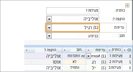 יצירת תצוגה באמצעות Microsoft Access