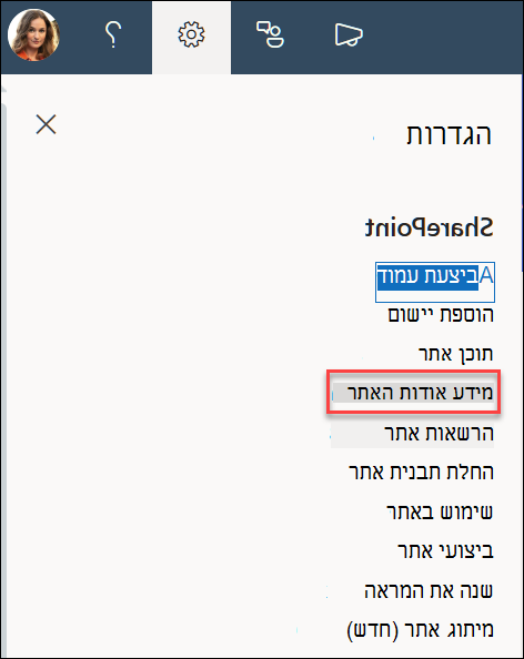 האפשרות 'פרטי אתר' בתיבת הדו-שיח 'הגדרות'.