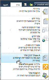 הצגת כל תוכן האתר בתפריט 'פעולות אתר'