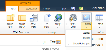 לחץ על לחצן התמונה ברצועת הכלים ובחר ממחשב, כתובת או SharePoint.