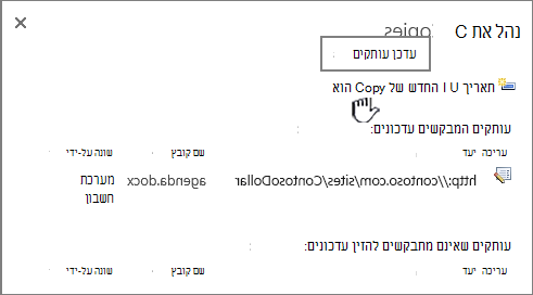 עדכון כל העותקים של הקובץ