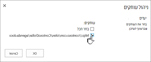 בחר את עותקי היעד לעדכון