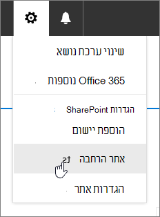 תפריט 'הגדרות' עם האפשרות 'תוכן אתר' מסומנת