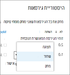 תפריט פריט גירסה