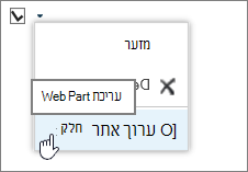 תפריט עריכת Web Part מסומן