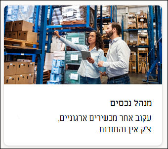 צילום מסך של תבנית מנהל הנכסים