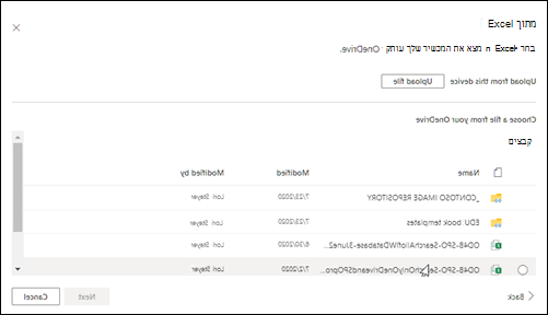 העלאה מקובץ Excel