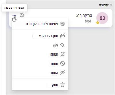 צילום מסך של תפריט אפשרויות צ'אט