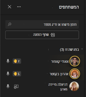 תמונה המציגה משתתפים בצד ימין של המסך עם סמלי הרמת יד.