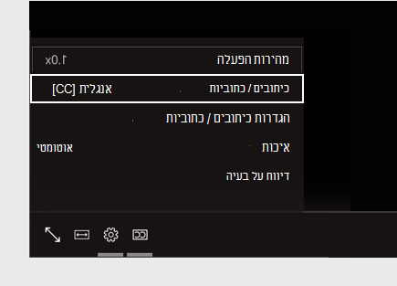תפריט הגדרות של כתוביות