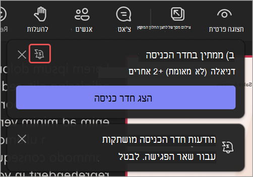 צילום מסך של הודעת חדר כניסה שמדגישה את סמל 'השתק הודעות אלה'.