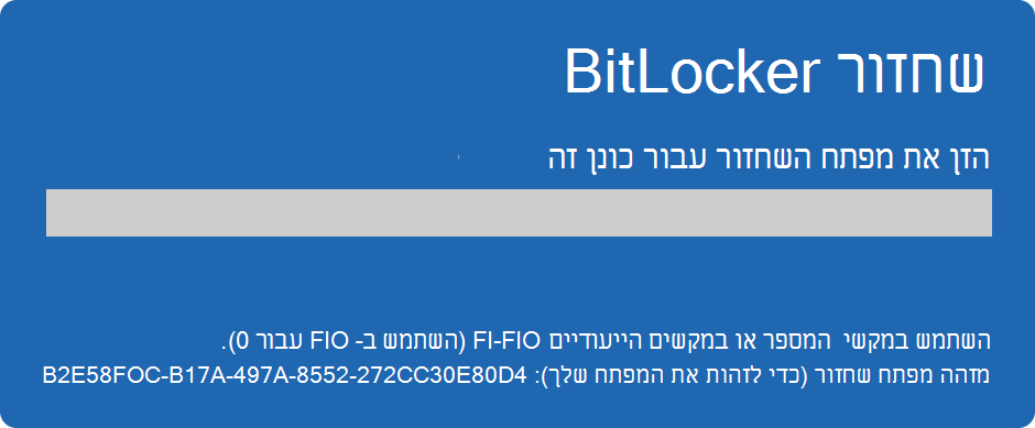 צילום מסך של מסך השחזור של BitLocker.