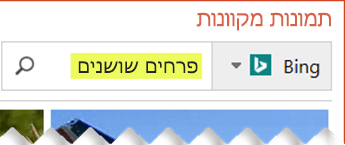 הקלד מונחי חיפוש המתארים את פריט אוסף התמונות שברצונך לחפש