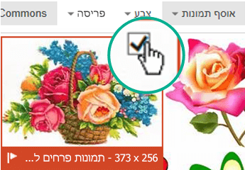 בחר את התמונה הממוזערת של התמונה שברצונך להוסיף. סימן ביקורת מופיע בפינה הימנית העליונה.